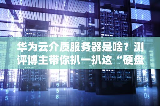 华为云介质服务器是啥？测评博主带你扒一扒这“硬盘狂魔”的底裤！