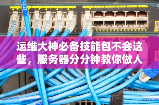 运维大神必备技能包不会这些，服务器分分钟教你做人！