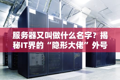 服务器又叫做什么名字？揭秘IT界的“隐形大佬”外号大全！