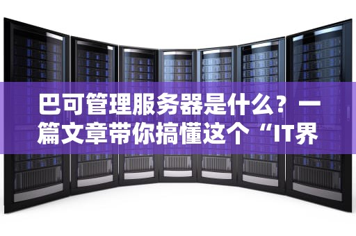 巴可管理服务器是什么？一篇文章带你搞懂这个“IT界的瑞士军刀”！