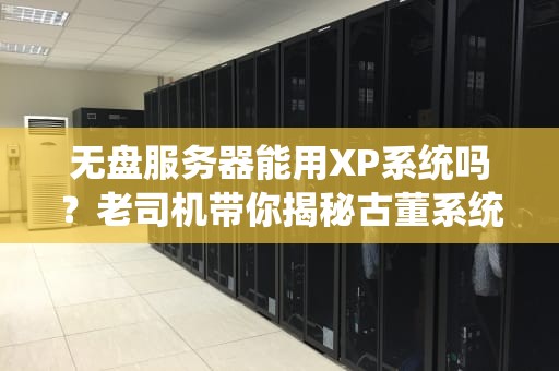 无盘服务器能用XP系统吗？老司机带你揭秘古董系统的“云上漂移”