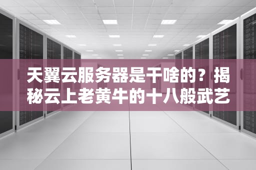 天翼云服务器是干啥的？揭秘云上老黄牛的十八般武艺！