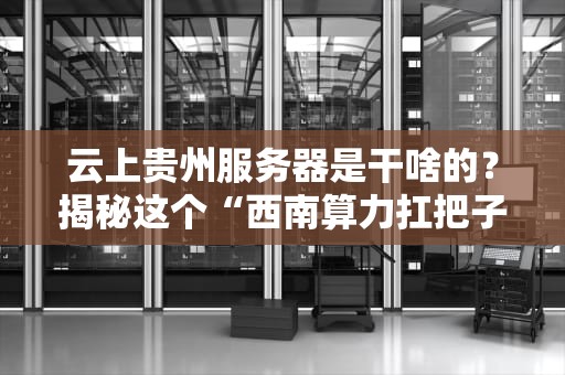 云上贵州服务器是干啥的？揭秘这个“西南算力扛把子”的硬核实力！