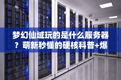 梦幻仙域玩的是什么服务器？萌新秒懂的硬核科普+爆笑测评！