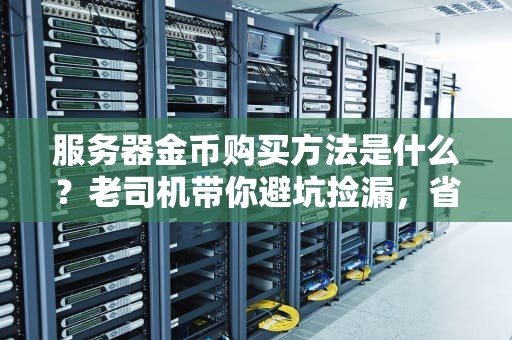 服务器金币购买方法是什么？老司机带你避坑捡漏，省钱又省心！