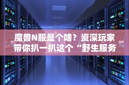 魔兽N服是个啥？资深玩家带你扒一扒这个“野生服务器”的底裤！