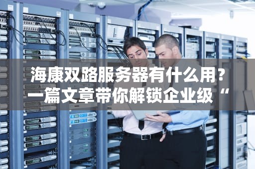 海康双路服务器有什么用？一篇文章带你解锁企业级“双核动力”的秘密！