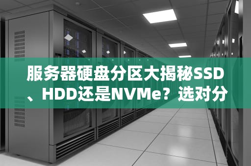 服务器硬盘分区大揭秘SSD、HDD还是NVMe？选对分区性能翻倍！