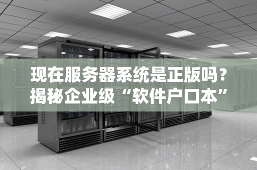 现在服务器系统是正版吗？揭秘企业级“软件户口本”的那些事儿！
