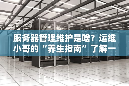 服务器管理维护是啥？运维小哥的“养生指南”了解一下！