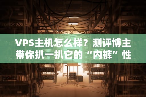 VPS主机怎么样？测评博主带你扒一扒它的“内裤”性能！