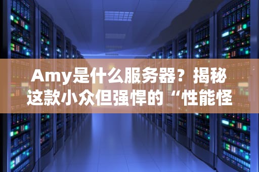 Amy是什么服务器？揭秘这款小众但强悍的“性能怪兽”