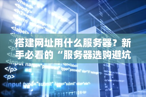 搭建网址用什么服务器？新手必看的“服务器选购避坑指南”！