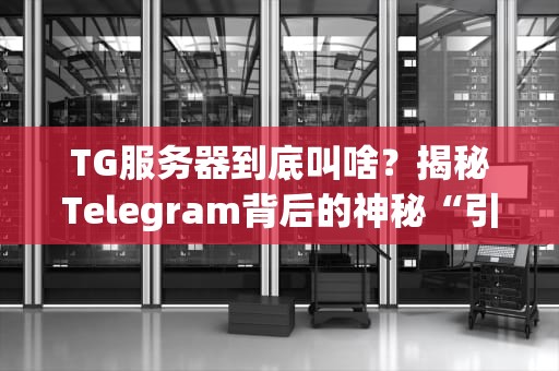 TG服务器到底叫啥？揭秘Telegram背后的神秘“引擎”