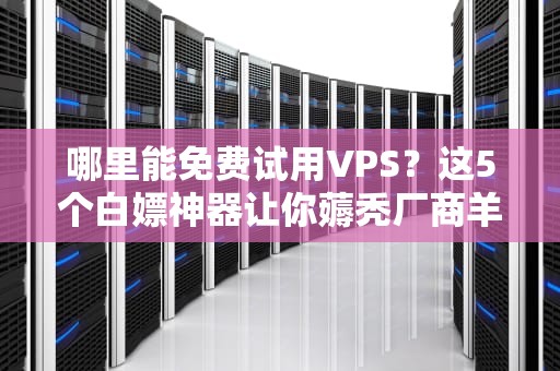 哪里能免费试用VPS？这5个白嫖神器让你薅秃厂商羊毛！