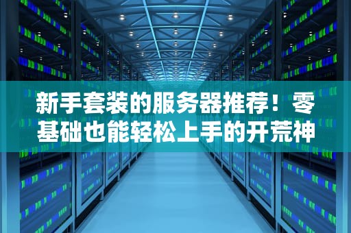 新手套装的服务器推荐！零基础也能轻松上手的开荒神器