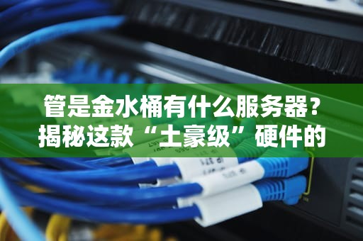 管是金水桶有什么服务器？揭秘这款“土豪级”硬件的真实性能！