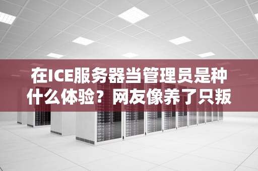 在ICE服务器当管理员是种什么体验？网友像养了只叛逆的电子哈士奇！