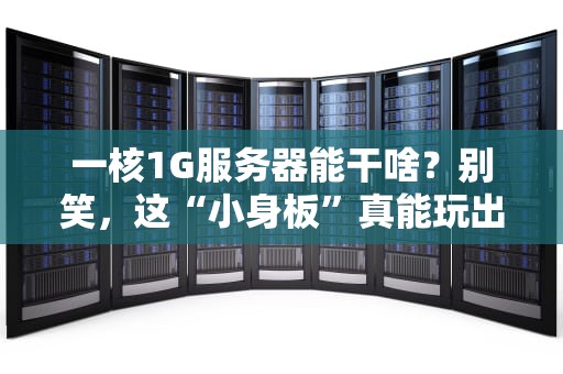 一核1G服务器能干啥？别笑，这“小身板”真能玩出花！