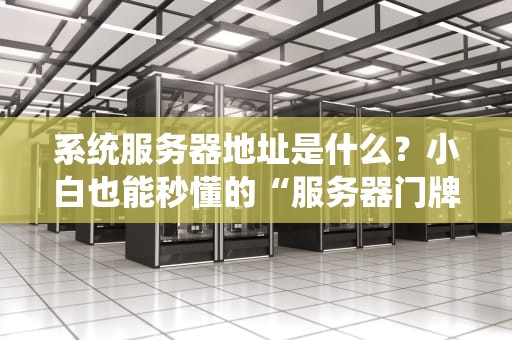系统服务器地址是什么？小白也能秒懂的“服务器门牌号”指南！