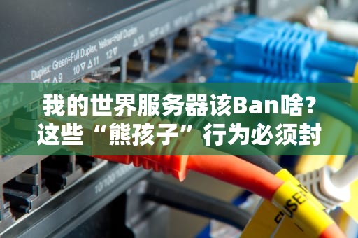 我的世界服务器该Ban啥？这些“熊孩子”行为必须封杀！