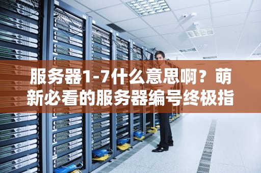 服务器1-7什么意思啊？萌新必看的服务器编号终极指南！