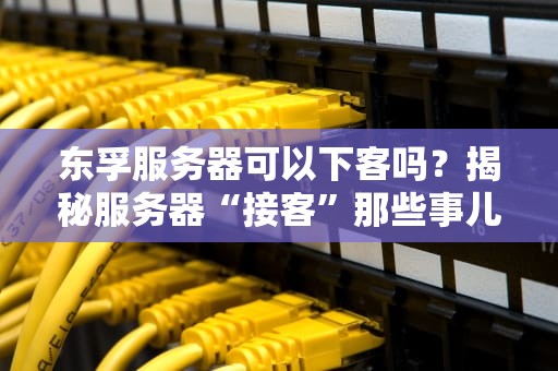 东孚服务器可以下客吗？揭秘服务器“接客”那些事儿！