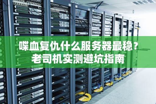喋血复仇什么服务器最稳？老司机实测避坑指南