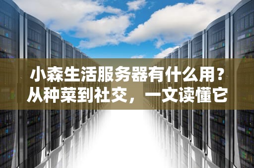 小森生活服务器有什么用？从种菜到社交，一文读懂它的“超能力”！