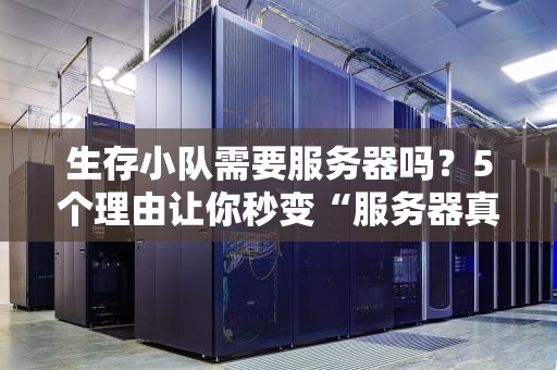 生存小队需要服务器吗？5个理由让你秒变“服务器真香党”！
