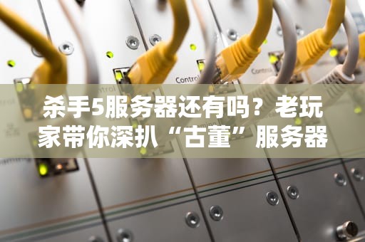 杀手5服务器还有吗？老玩家带你深扒“古董”服务器的前世今生