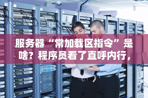 服务器“常加载区指令”是啥？程序员看了直呼内行，小白也能秒懂！
