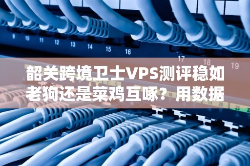 韶关跨境卫士VPS测评稳如老狗还是菜鸡互啄？用数据扒光它的底裤！