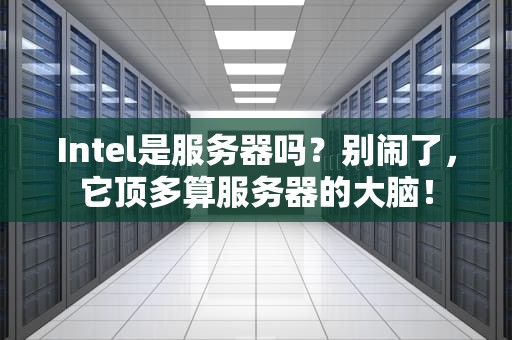Intel是服务器吗？别闹了，它顶多算服务器的大脑！