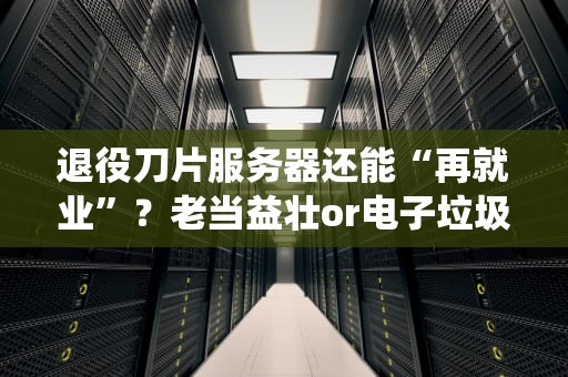 退役刀片服务器还能“再就业”？老当益壮or电子垃圾？真相来了！