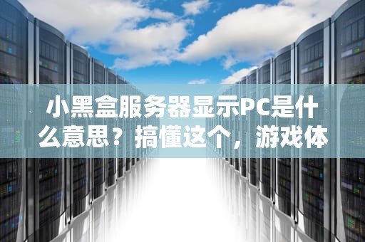 小黑盒服务器显示PC是什么意思？搞懂这个，游戏体验飙升！