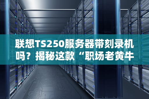 联想TS250服务器带刻录机吗？揭秘这款“职场老黄牛”的隐藏技能！