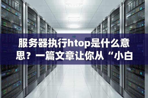 服务器执行htop是什么意思？一篇文章让你从“小白”变“大神”！