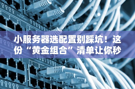 小服务器选配置别踩坑！这份“黄金组合”清单让你秒变老司机