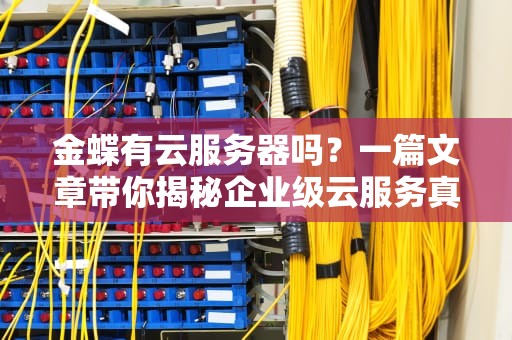 金蝶有云服务器吗？一篇文章带你揭秘企业级云服务真相！