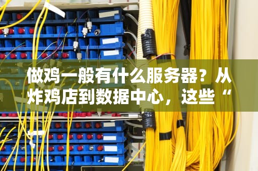 做鸡一般有什么服务器？从炸鸡店到数据中心，这些“鸡”服务器你了解吗？