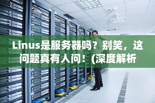 Linus是服务器吗？别笑，这问题真有人问！(深度解析+趣味科普)