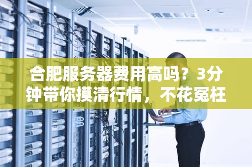 合肥服务器费用高吗？3分钟带你摸清行情，不花冤枉钱！