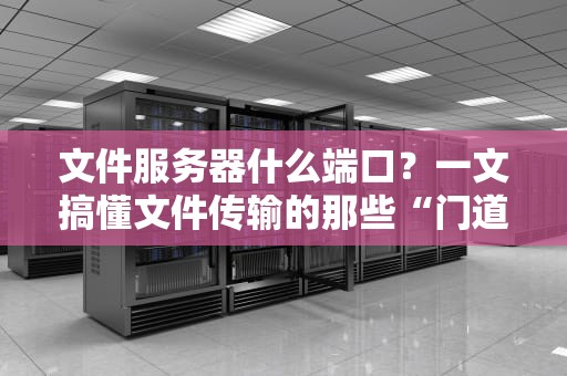 文件服务器什么端口？一文搞懂文件传输的那些“门道”！