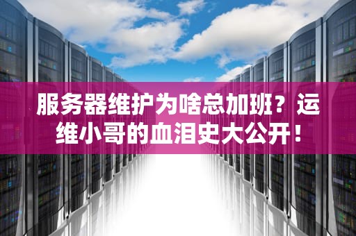 服务器维护为啥总加班？运维小哥的血泪史大公开！
