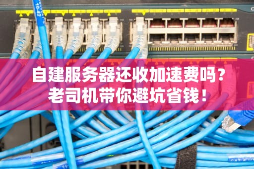 自建服务器还收加速费吗？老司机带你避坑省钱！