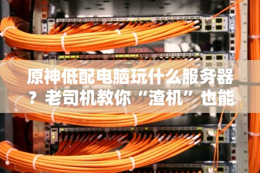 原神低配电脑玩什么服务器？老司机教你“渣机”也能畅游提瓦特！