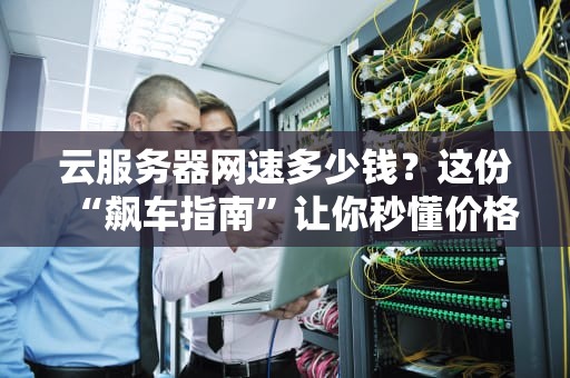 云服务器网速多少钱？这份“飙车指南”让你秒懂价格玄机！