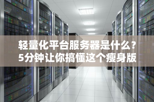 轻量化平台服务器是什么？5分钟让你搞懂这个瘦身版的服务器神器！