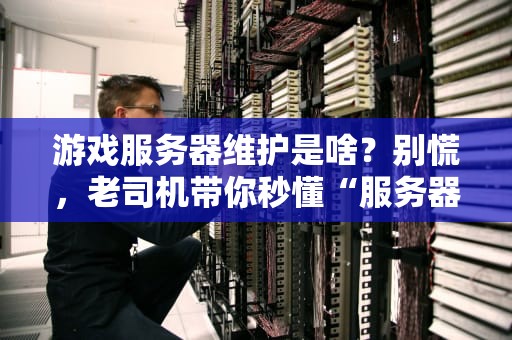 游戏服务器维护是啥？别慌，老司机带你秒懂“服务器保养”那些事儿！